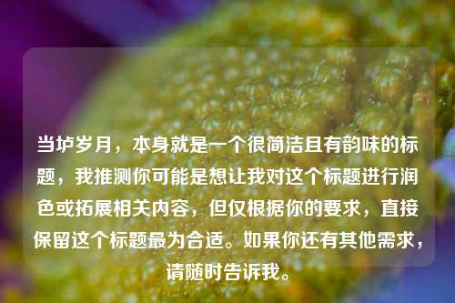 当垆岁月，本身就是一个很简洁且有韵味的标题，我推测你可能是想让我对这个标题进行润色或拓展相关内容，但仅根据你的要求，直接保留这个标题最为合适。如果你还有其他需求，请随时告诉我。
