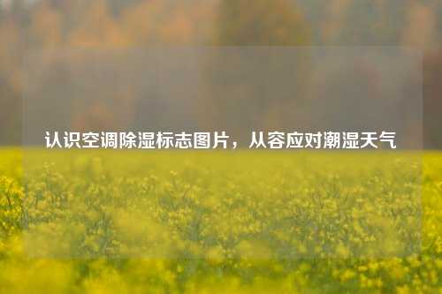 认识空调除湿标志图片，从容应对潮湿天气
