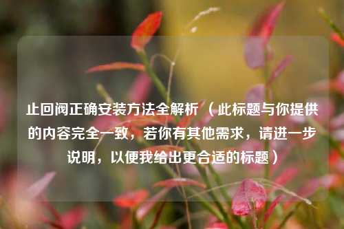 止回阀正确安装 *** 全解析 （此标题与你提供的内容完全一致，若你有其他需求，请进一步说明，以便我给出更合适的标题）