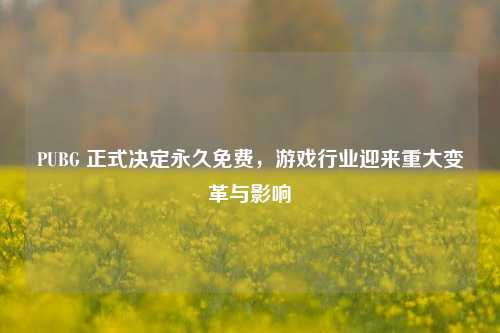 PUBG 正式决定永久免费，游戏行业迎来重大变革与影响