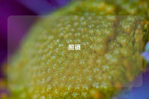 照镜