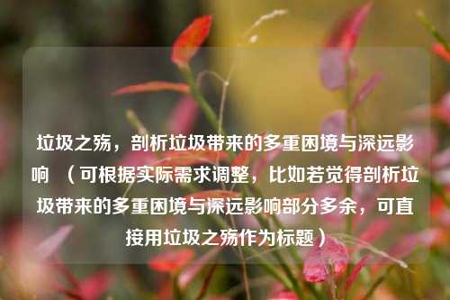 垃圾之殇，剖析垃圾带来的多重困境与深远影响  （可根据实际需求调整，比如若觉得剖析垃圾带来的多重困境与深远影响部分多余，可直接用垃圾之殇作为标题）