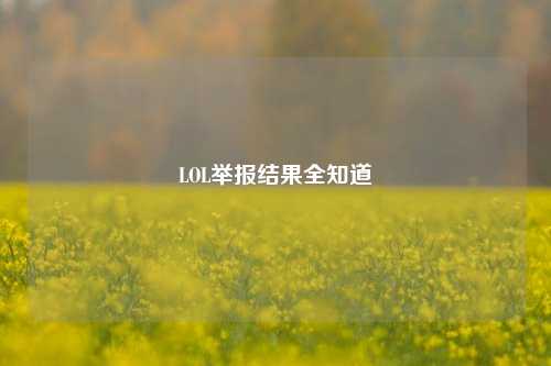LOL举报结果全知道