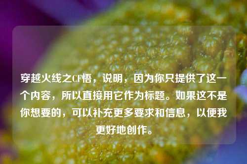 穿越火线之CF悟，说明，因为你只提供了这一个内容，所以直接用它作为标题。如果这不是你想要的，可以补充更多要求和信息，以便我更好地创作。