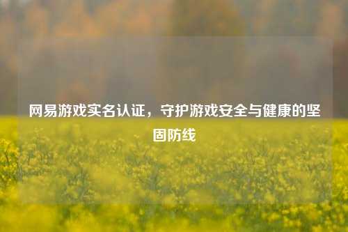 网易游戏实名认证，守护游戏安全与健康的坚固防线