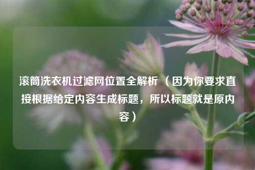滚筒洗衣机过滤网位置全解析 （因为你要求直接根据给定内容生成标题，所以标题就是原内容）
