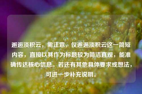 邂逅淡积云，需注意，仅邂逅淡积云这一简短内容，直接以其作为标题较为简洁直观，能准确传达核心信息。若还有其他具体要求或想法，可进一步补充说明。