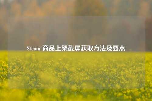 Steam 商品上架截屏获取 *** 及要点