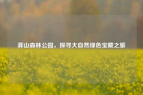 莽山森林公园，探寻大自然绿色宝藏之旅
