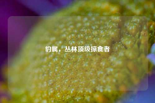 豹属，丛林顶级掠食者