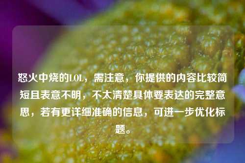怒火中烧的LOL，需注意，你提供的内容比较简短且表意不明，不太清楚具体要表达的完整意思，若有更详细准确的信息，可进一步优化标题。
