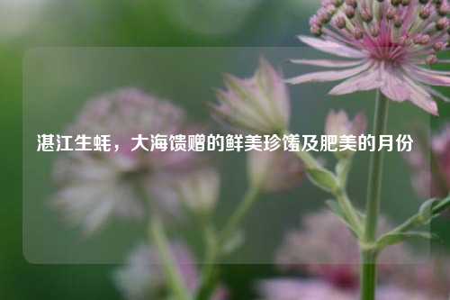 湛江生蚝，大海馈赠的鲜美珍馐及肥美的月份