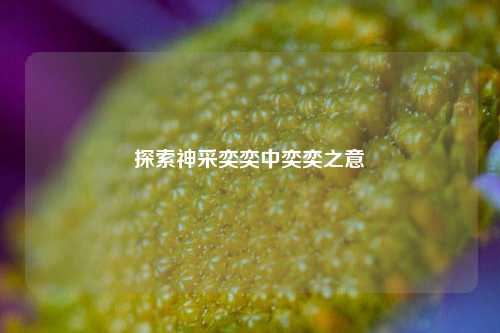 探索神采奕奕中奕奕之意