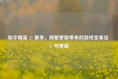 和平精英 17 赛季，频繁更新带来的游戏变革及 17 号更新