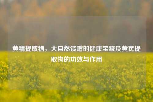 黄精提取物，大自然馈赠的健康宝藏及黄芪提取物的功效与作用