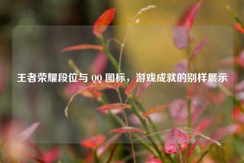 王者荣耀段位与  ***  图标，游戏成就的别样展示
