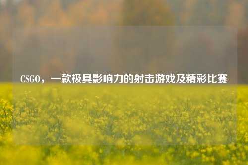 CSGO，一款极具影响力的射击游戏及精彩比赛