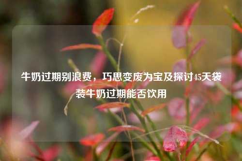 牛奶过期别浪费，巧思变废为宝及探讨45天袋装牛奶过期能否饮用