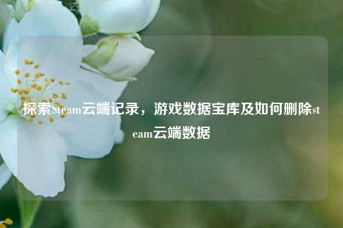 探索Steam云端记录，游戏数据宝库及如何删除steam云端数据