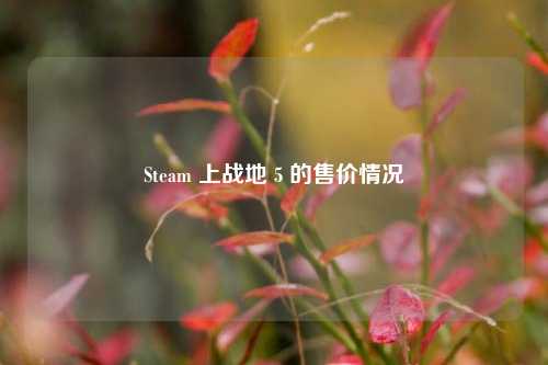 Steam 上战地 5 的售价情况