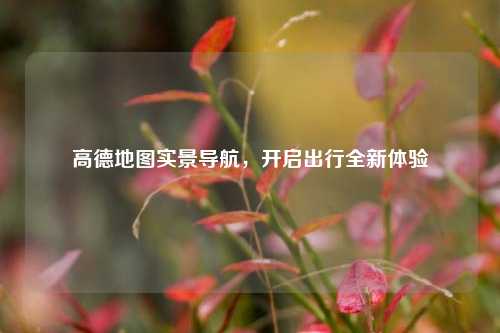 高德地图实景导航，开启出行全新体验