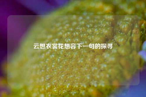 云想衣裳花想容下一句的探寻