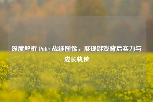 深度解析 Pubg 战绩图像，展现游戏背后实力与成长轨迹