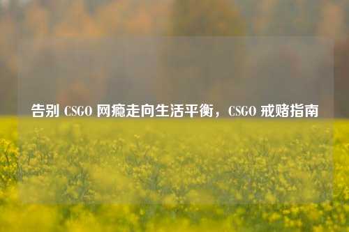 告别 CSGO 网瘾走向生活平衡，CSGO 戒赌指南