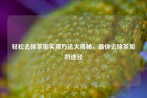 轻松去除茶垢实用 *** 大揭秘，最快去除茶垢的途径