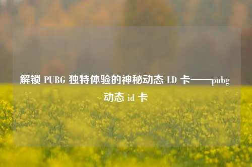 解锁 PUBG 独特体验的神秘动态 LD 卡——pubg 动态 id 卡