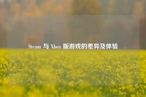Steam 与 Xbox 版游戏的差异及体验