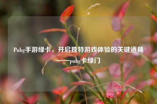 Pubg手游绿卡，开启独特游戏体验的关键道具——pubg卡绿门