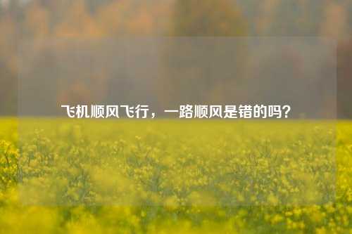 飞机顺风飞行，一路顺风是错的吗？