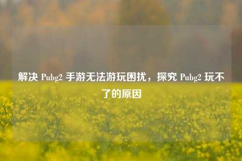 解决 Pubg2 手游无法游玩困扰，探究 Pubg2 玩不了的原因