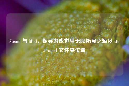 Steam 与 Mod，探寻游戏世界无限拓展之源及 steammod 文件夹位置