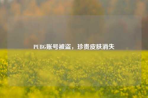 PUBG账号被盗，珍贵皮肤消失