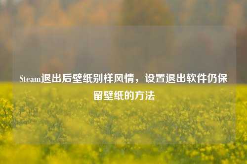 Steam退出后壁纸别样风情，设置退出软件仍保留壁纸的 *** 