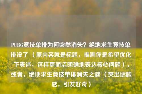 PUBG竞技单排为何突然消失？绝地求生竞技单排没了 （原内容就是标题，推测你是希望优化下表述，这样更简洁明确地表达核心问题），或者，绝地求生竞技单排消失之谜 （突出谜题感，引发好奇）