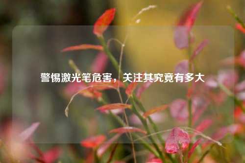警惕激光笔危害，关注其究竟有多大