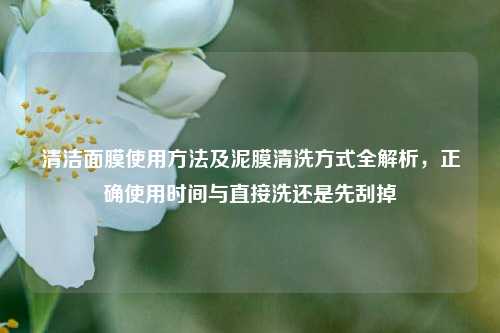 清洁面膜使用 *** 及泥膜清洗方式全解析，正确使用时间与直接洗还是先刮掉