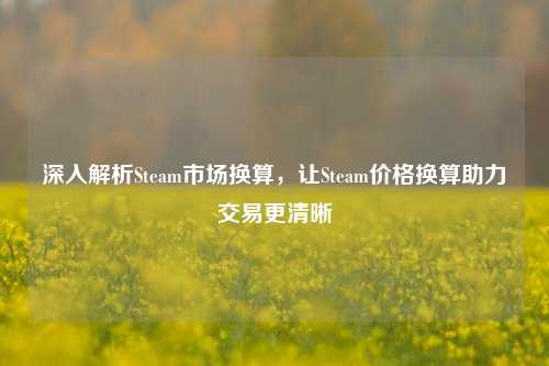 深入解析Steam市场换算，让Steam价格换算助力交易更清晰
