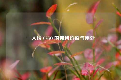 一人玩 CSGO 的独特价值与用处