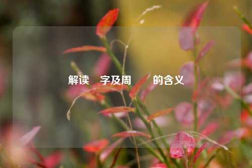 解读嫑字及周嫑嫑的含义