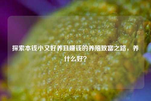 探索本钱小又好养且赚钱的养殖致富之路，养什么好？