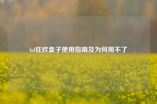 lol狂欢盒子使用指南及为何用不了