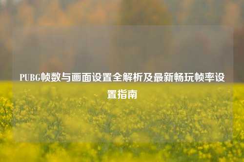 PUBG帧数与画面设置全解析及最新畅玩帧率设置指南