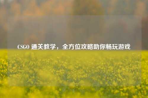 CSGO 通关教学，全方位攻略助你畅玩游戏