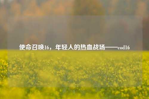 使命召唤16，年轻人的热血战场——cod16