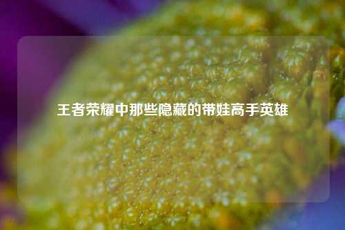 王者荣耀中那些隐藏的带娃高手英雄
