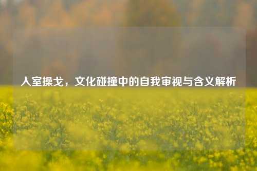 入室操戈，文化碰撞中的自我审视与含义解析